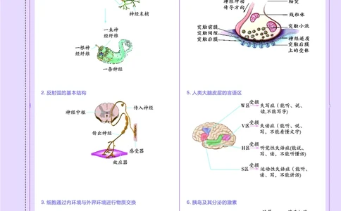 教材帮高中生物学选择性必修1（配SJ版）_高中三年全科资料_高中_高中电子教材_高中《教材帮》2025版高中《教材帮》（全科高清）_教材帮高中生物