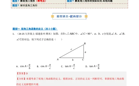 专题08锐角三角形函数（期末复习专项训练）（解析版）_人教版数学九年级上册_版本二_九年级数学上册（人教版）_期末专项复习-U276_期末总复习_2026版