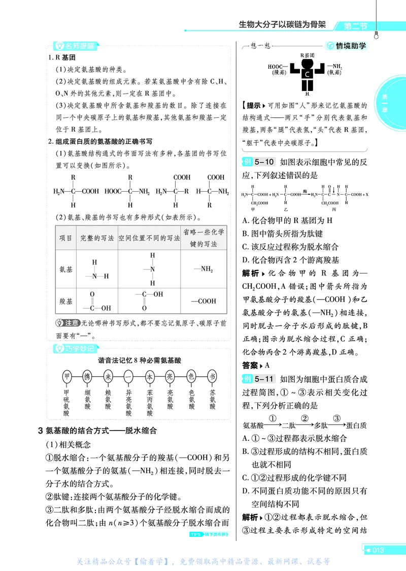 教材帮高中生物学必修1（配ZK版）浙科版_高中三年全科资料_高中_高中电子教材_高中《教材帮》2025版高中《教材帮》（全科高清）_教材帮高中生物