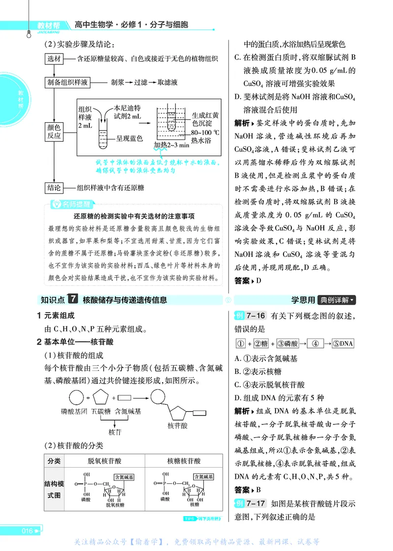 教材帮高中生物学必修1（配ZK版）浙科版_高中三年全科资料_高中_高中电子教材_高中《教材帮》2025版高中《教材帮》（全科高清）_教材帮高中生物