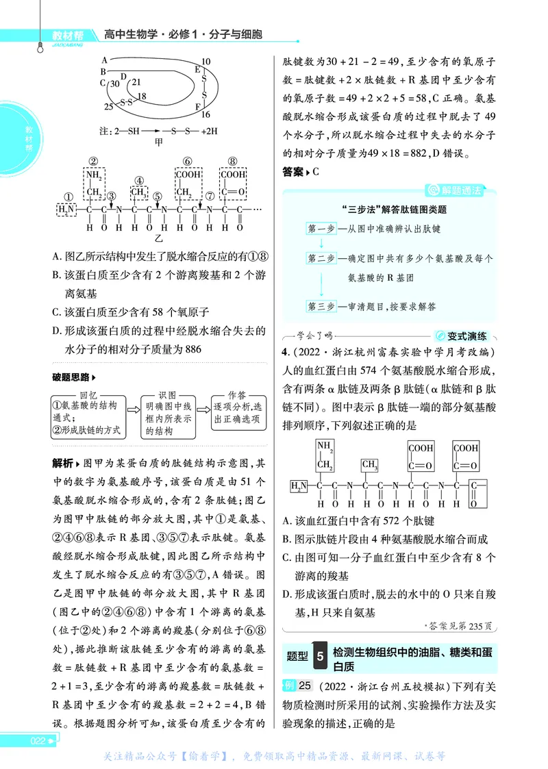 教材帮高中生物学必修1（配ZK版）浙科版_高中三年全科资料_高中_高中电子教材_高中《教材帮》2025版高中《教材帮》（全科高清）_教材帮高中生物