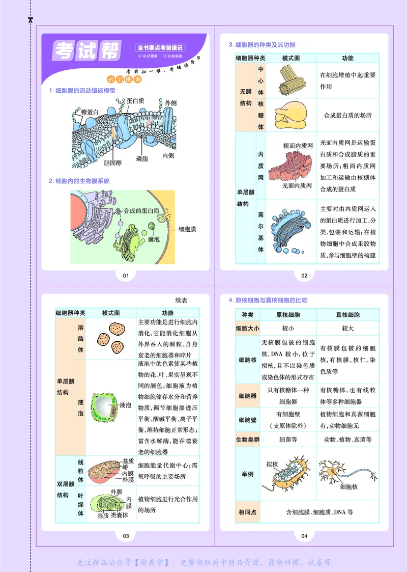 教材帮高中生物学必修1（配ZK版）浙科版_高中三年全科资料_高中_高中电子教材_高中《教材帮》2025版高中《教材帮》（全科高清）_教材帮高中生物
