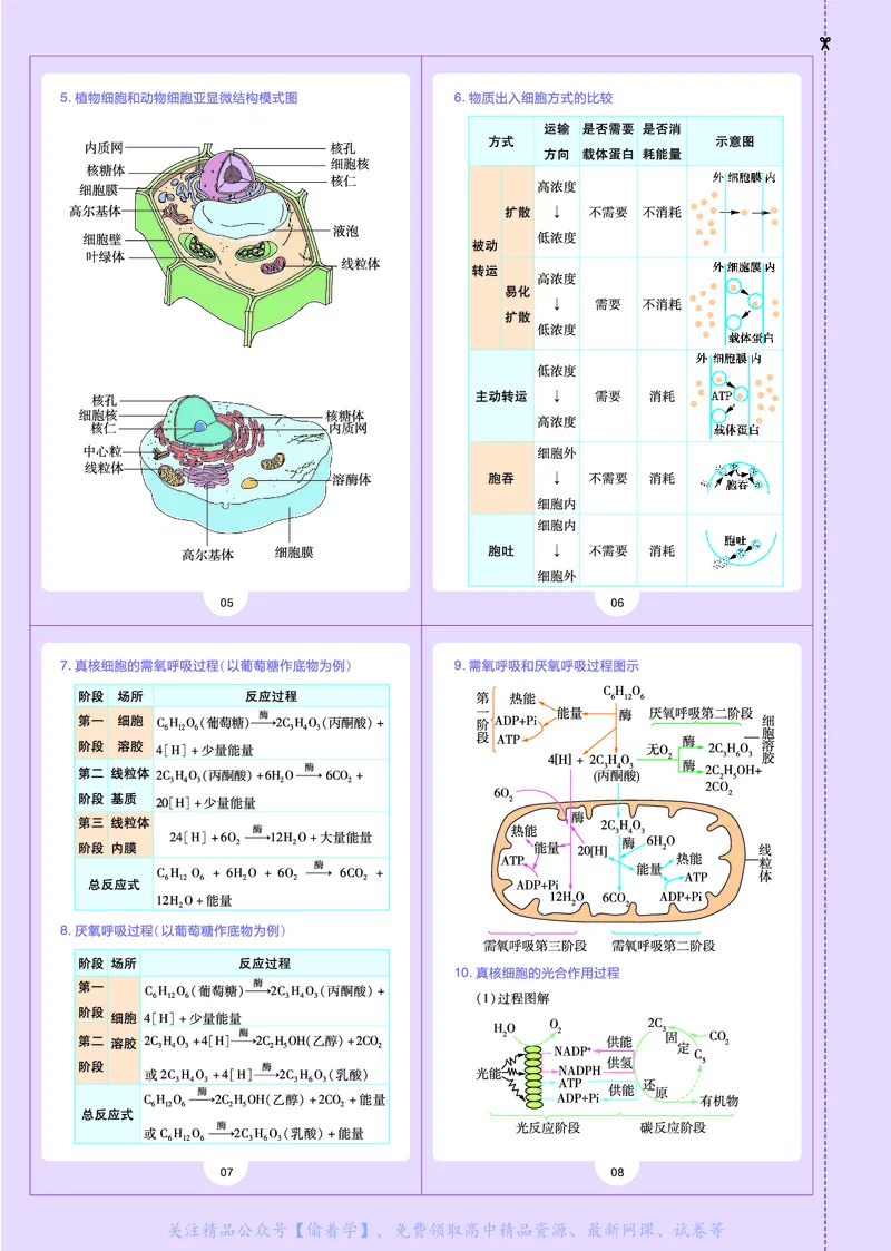 教材帮高中生物学必修1（配ZK版）浙科版_高中三年全科资料_高中_高中电子教材_高中《教材帮》2025版高中《教材帮》（全科高清）_教材帮高中生物