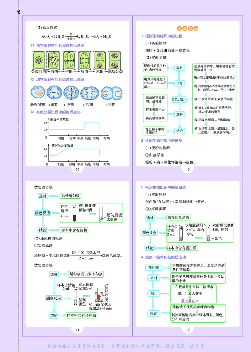 教材帮高中生物学必修1（配ZK版）浙科版_高中三年全科资料_高中_高中电子教材_高中《教材帮》2025版高中《教材帮》（全科高清）_教材帮高中生物
