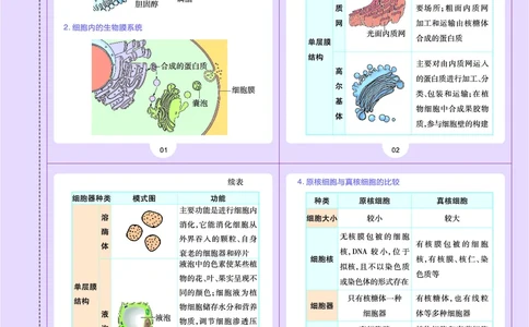 教材帮高中生物学必修1（配ZK版）浙科版_高中三年全科资料_高中_高中电子教材_高中《教材帮》2025版高中《教材帮》（全科高清）_教材帮高中生物