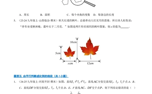 专题07相似三角形（期末专项训练）（原卷版）_人教版数学九年级上册_版本二_九年级数学上册（人教版）_期末专项复习-U276_期末总复习_2026版