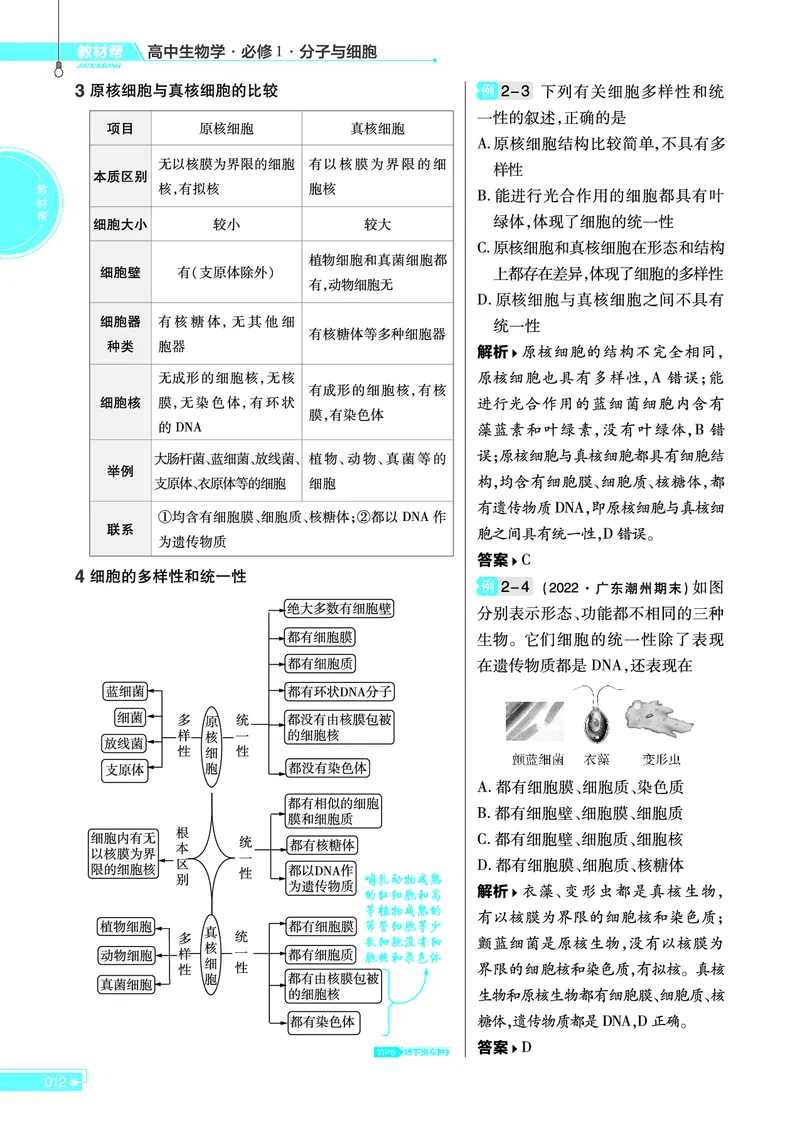 教材帮高中生物学必修1（配RJ版）_高中三年全科资料_高中_高中电子教材_高中《教材帮》2025版高中《教材帮》（全科高清）_教材帮高中生物
