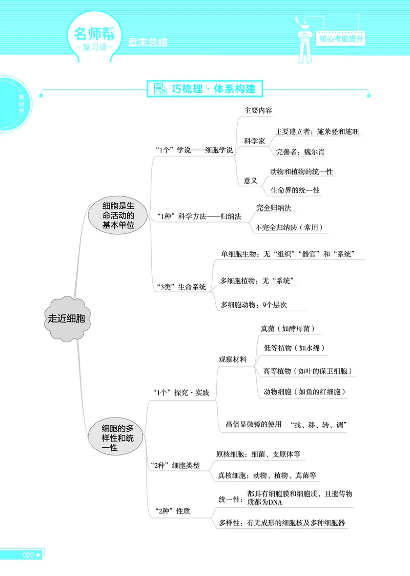 教材帮高中生物学必修1（配RJ版）_高中三年全科资料_高中_高中电子教材_高中《教材帮》2025版高中《教材帮》（全科高清）_教材帮高中生物