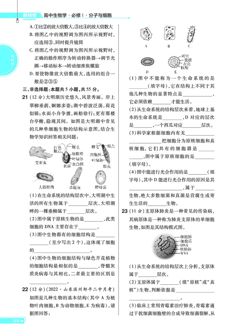 教材帮高中生物学必修1（配RJ版）_高中三年全科资料_高中_高中电子教材_高中《教材帮》2025版高中《教材帮》（全科高清）_教材帮高中生物
