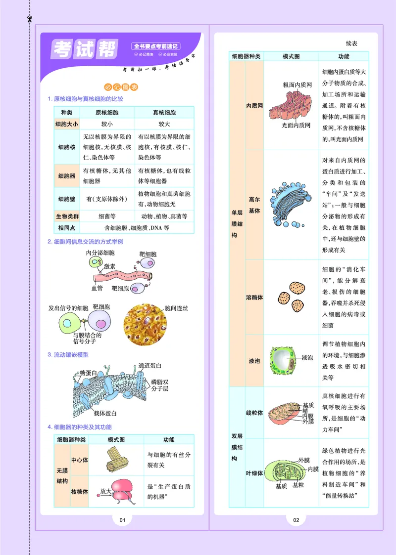 教材帮高中生物学必修1（配RJ版）_高中三年全科资料_高中_高中电子教材_高中《教材帮》2025版高中《教材帮》（全科高清）_教材帮高中生物