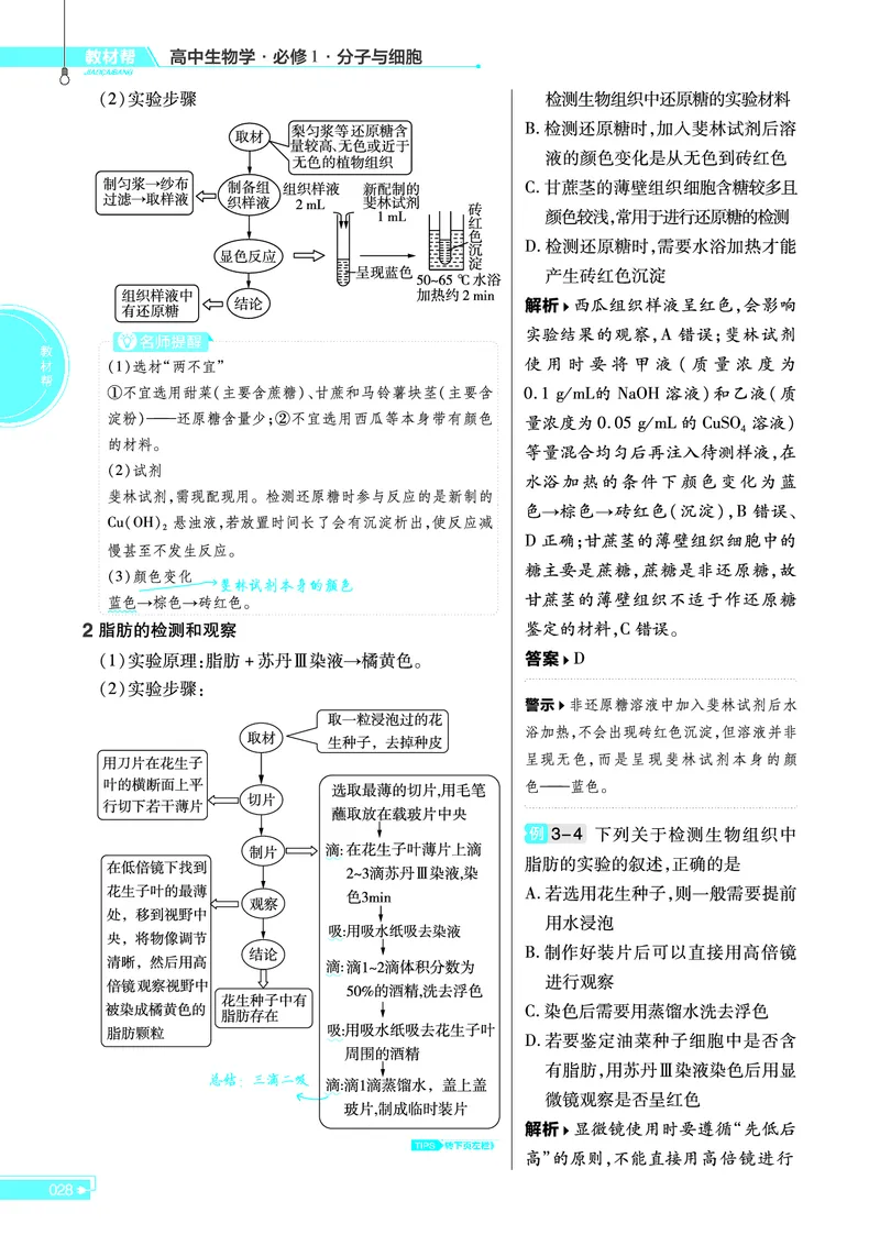 教材帮高中生物学必修1（配RJ版）_高中三年全科资料_高中_高中电子教材_高中《教材帮》2025版高中《教材帮》（全科高清）_教材帮高中生物
