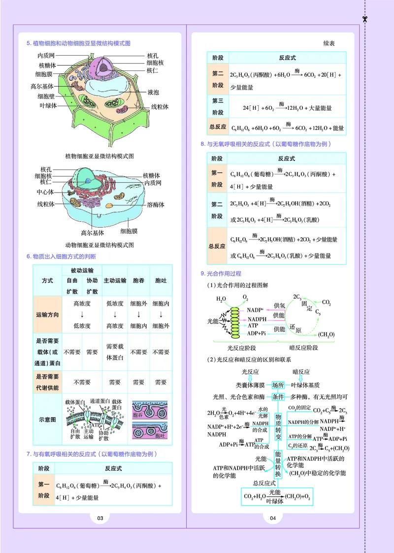 教材帮高中生物学必修1（配RJ版）_高中三年全科资料_高中_高中电子教材_高中《教材帮》2025版高中《教材帮》（全科高清）_教材帮高中生物