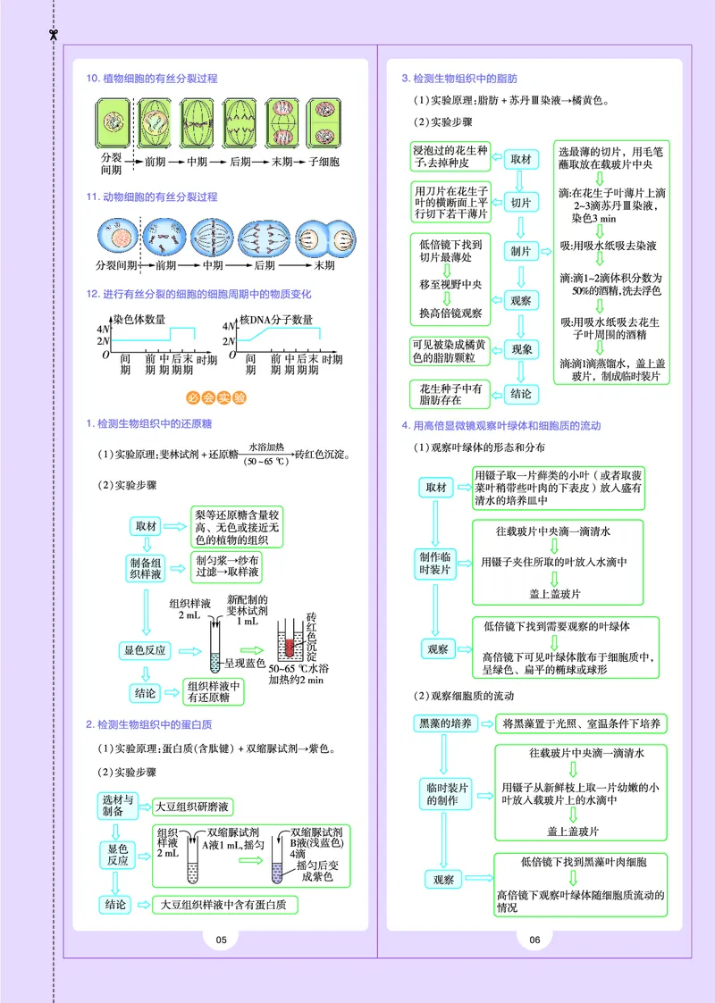 教材帮高中生物学必修1（配RJ版）_高中三年全科资料_高中_高中电子教材_高中《教材帮》2025版高中《教材帮》（全科高清）_教材帮高中生物