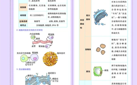 教材帮高中生物学必修1（配RJ版）_高中三年全科资料_高中_高中电子教材_高中《教材帮》2025版高中《教材帮》（全科高清）_教材帮高中生物