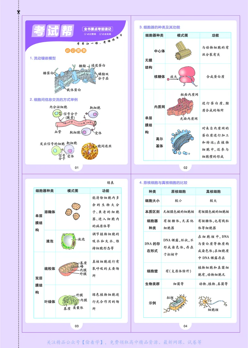 教材帮高中生物学必修1（配SJ版）_高中三年全科资料_高中_高中电子教材_高中《教材帮》2025版高中《教材帮》（全科高清）_教材帮高中生物