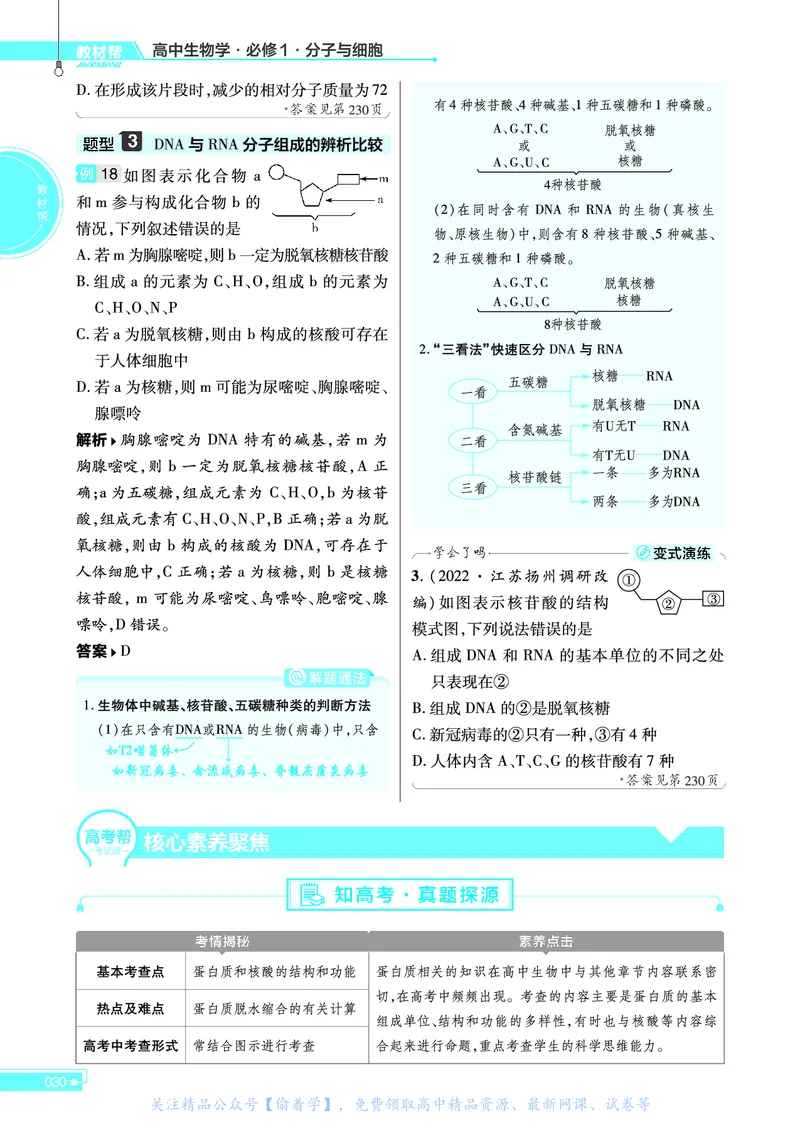 教材帮高中生物学必修1（配SJ版）_高中三年全科资料_高中_高中电子教材_高中《教材帮》2025版高中《教材帮》（全科高清）_教材帮高中生物