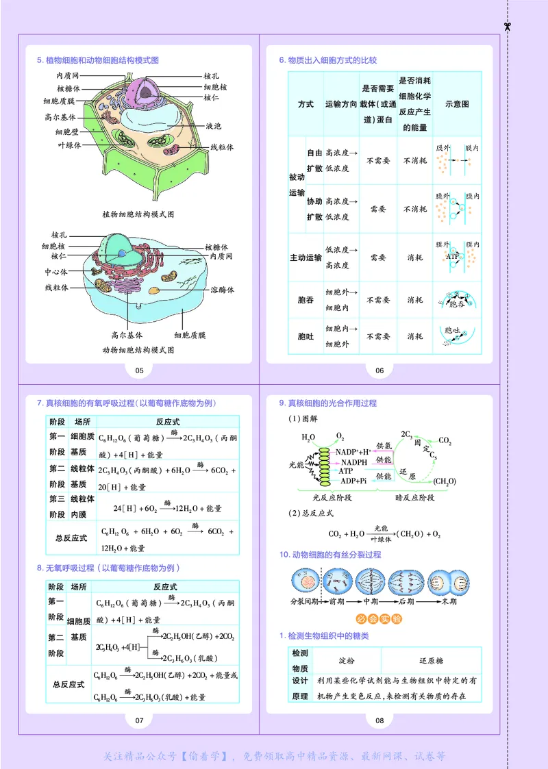 教材帮高中生物学必修1（配SJ版）_高中三年全科资料_高中_高中电子教材_高中《教材帮》2025版高中《教材帮》（全科高清）_教材帮高中生物