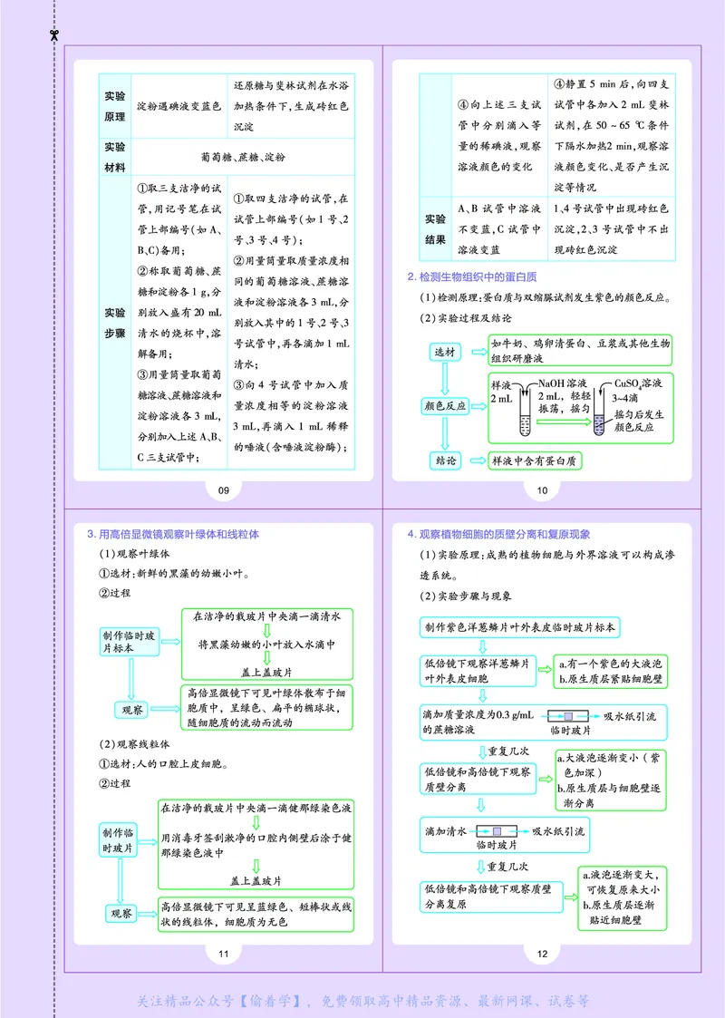 教材帮高中生物学必修1（配SJ版）_高中三年全科资料_高中_高中电子教材_高中《教材帮》2025版高中《教材帮》（全科高清）_教材帮高中生物