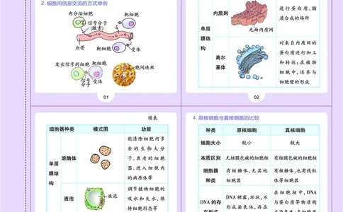 教材帮高中生物学必修1（配SJ版）_高中三年全科资料_高中_高中电子教材_高中《教材帮》2025版高中《教材帮》（全科高清）_教材帮高中生物