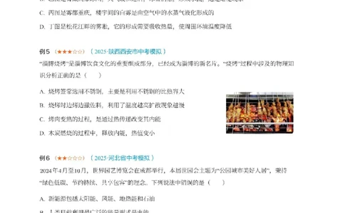 2025《中考考前密训&bull;物理》热点选择与填空精讲_2026中考押题卷合集_2026新中考中考全科资料_《中考密训班试卷&bull;物理》全国通用
