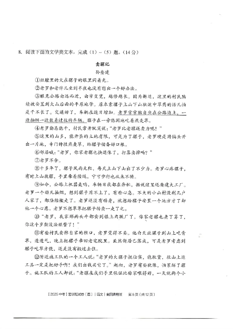 2025《中考密训班试卷&bull;语文》全国通用_2026中考押题卷合集_2026新中考中考全科资料_《中考密训班试卷&bull;语文》全国通用