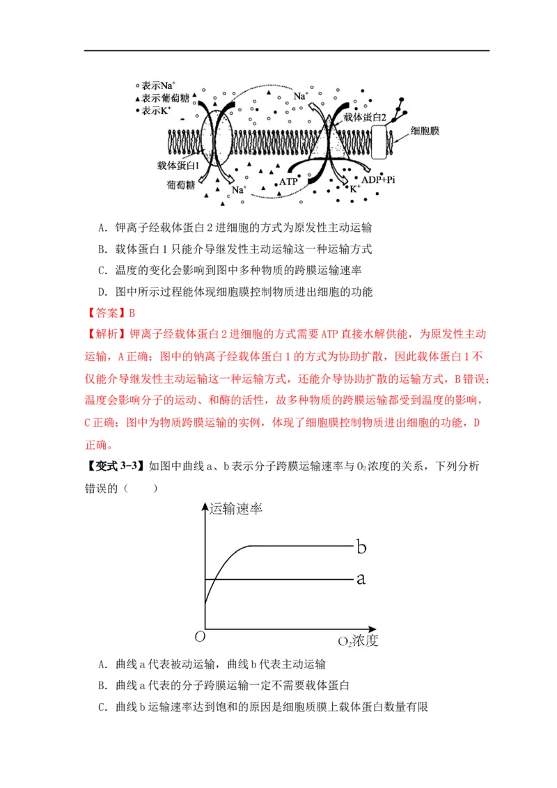 易错点03渗透作用和主动运输的深度解读（解析版）_高中三年全科资料_高中_15高中全科《高考易错题》2025版_高考生物备战2025年高考易错题（新高考专用）_教师版（含答案解析）