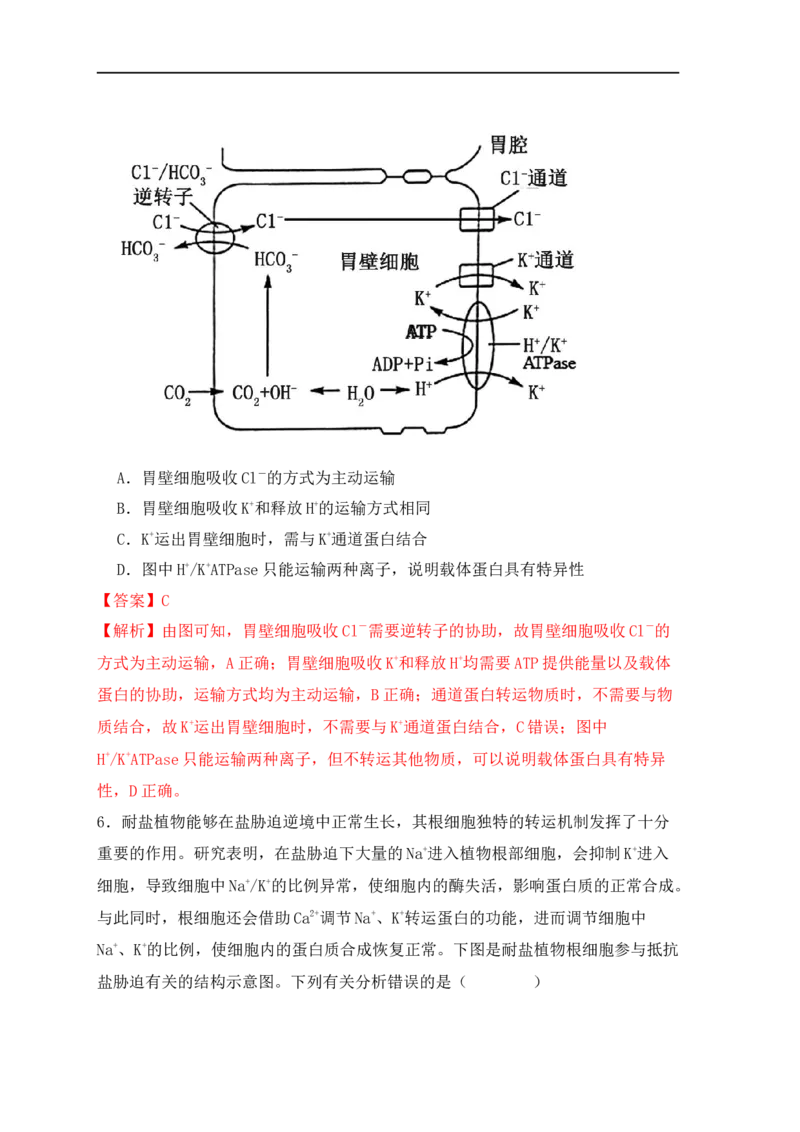 易错点03渗透作用和主动运输的深度解读（解析版）_高中三年全科资料_高中_15高中全科《高考易错题》2025版_高考生物备战2025年高考易错题（新高考专用）_教师版（含答案解析）