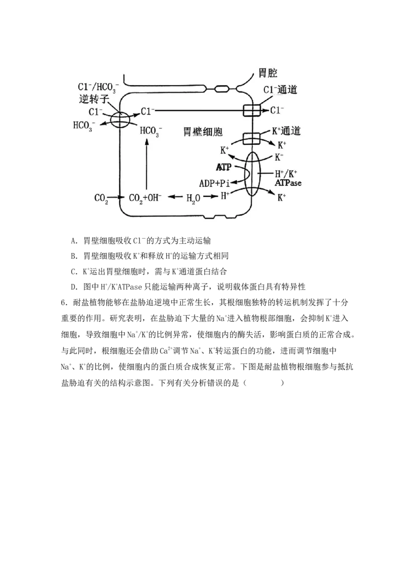 易错点03渗透作用和主动运输的深度解读（原卷版）_高中三年全科资料_高中_15高中全科《高考易错题》2025版_高考生物备战2025年高考易错题（新高考专用）