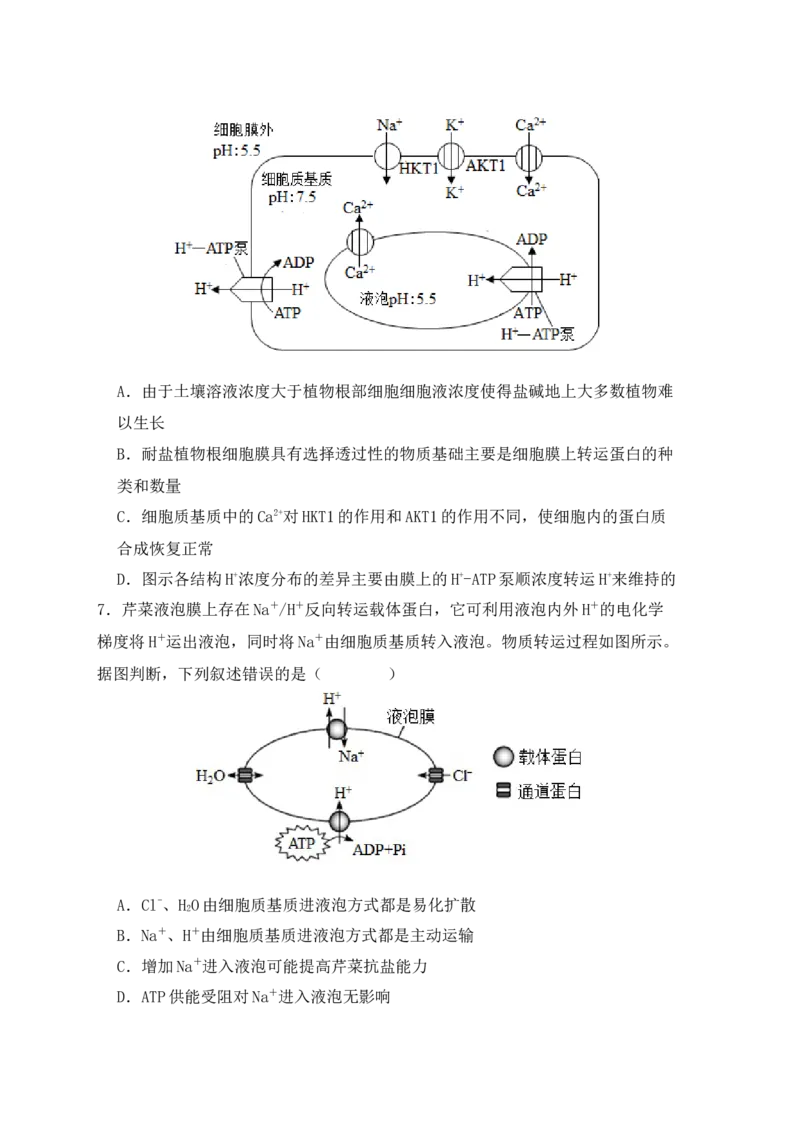 易错点03渗透作用和主动运输的深度解读（原卷版）_高中三年全科资料_高中_15高中全科《高考易错题》2025版_高考生物备战2025年高考易错题（新高考专用）
