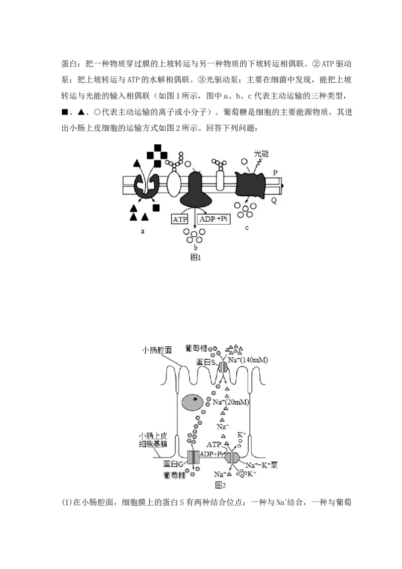 易错点03渗透作用和主动运输的深度解读（原卷版）_高中三年全科资料_高中_15高中全科《高考易错题》2025版_高考生物备战2025年高考易错题（新高考专用）