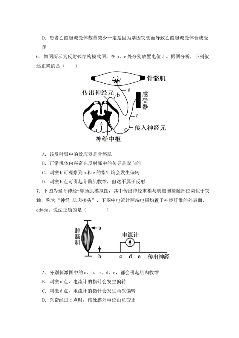 易错点11神经调节的&rdquo;四个&ldquo;注意（原卷版）_高中三年全科资料_高中_15高中全科《高考易错题》2025版_高考生物备战2025年高考易错题（新高考专用）