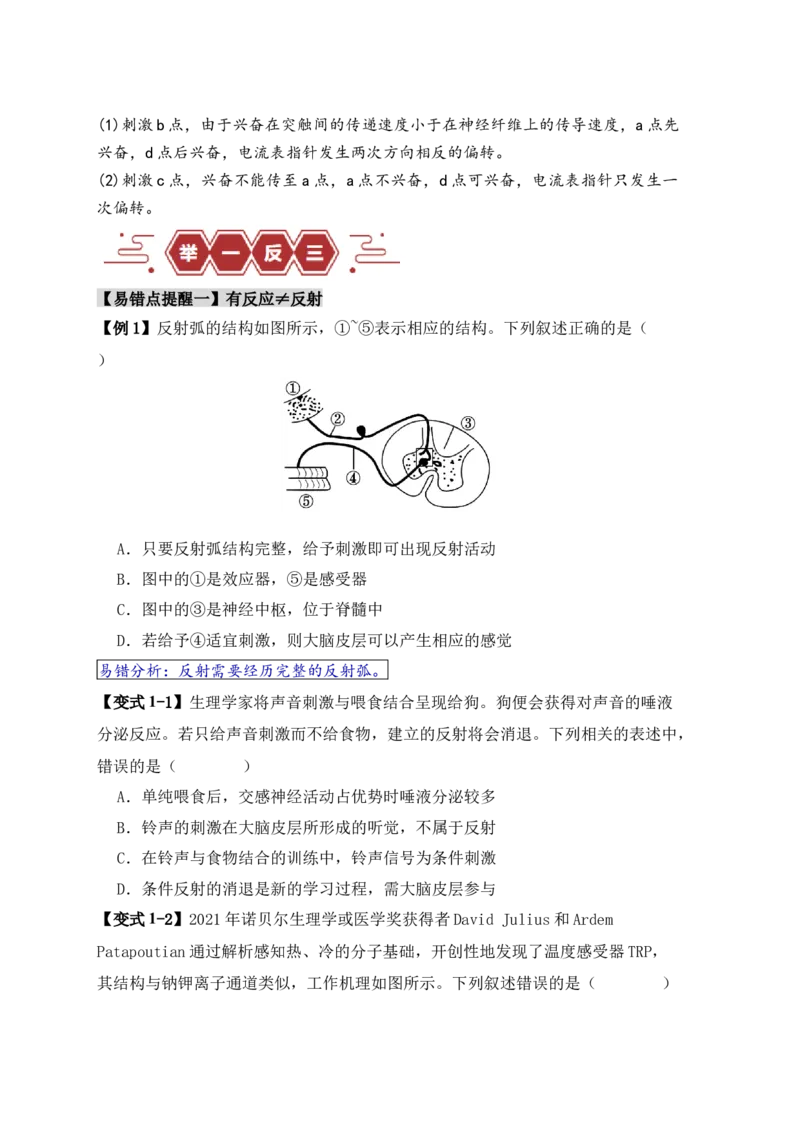易错点11神经调节的&rdquo;四个&ldquo;注意（原卷版）_高中三年全科资料_高中_15高中全科《高考易错题》2025版_高考生物备战2025年高考易错题（新高考专用）