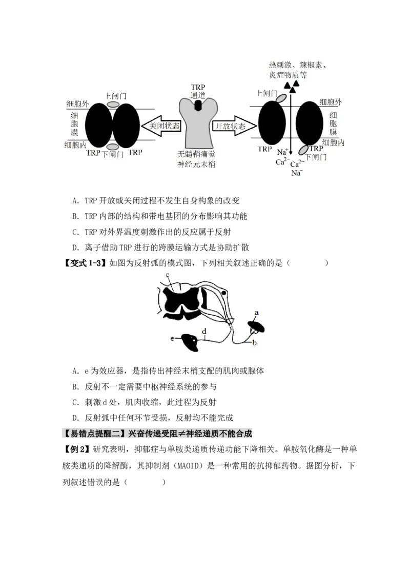 易错点11神经调节的&rdquo;四个&ldquo;注意（原卷版）_高中三年全科资料_高中_15高中全科《高考易错题》2025版_高考生物备战2025年高考易错题（新高考专用）