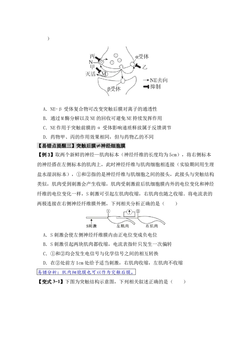 易错点11神经调节的&rdquo;四个&ldquo;注意（原卷版）_高中三年全科资料_高中_15高中全科《高考易错题》2025版_高考生物备战2025年高考易错题（新高考专用）