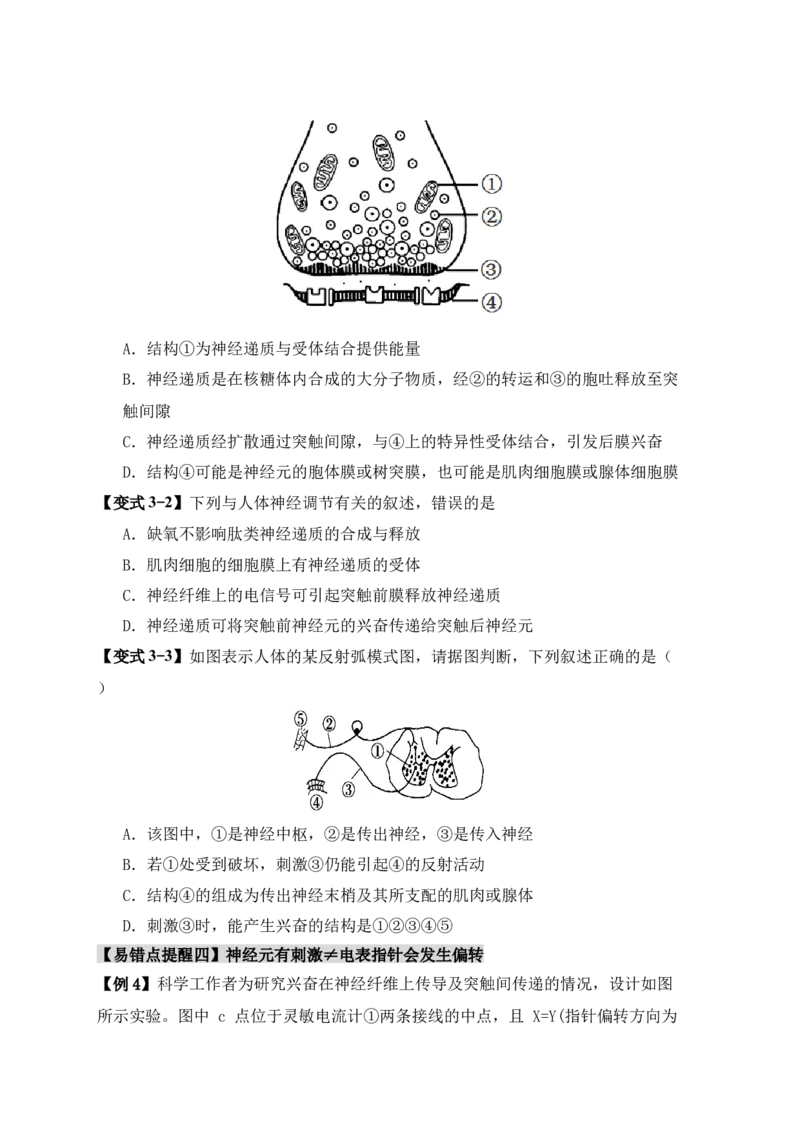 易错点11神经调节的&rdquo;四个&ldquo;注意（原卷版）_高中三年全科资料_高中_15高中全科《高考易错题》2025版_高考生物备战2025年高考易错题（新高考专用）