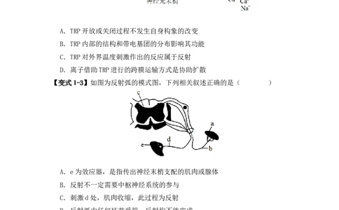 易错点11神经调节的&rdquo;四个&ldquo;注意（原卷版）_高中三年全科资料_高中_15高中全科《高考易错题》2025版_高考生物备战2025年高考易错题（新高考专用）