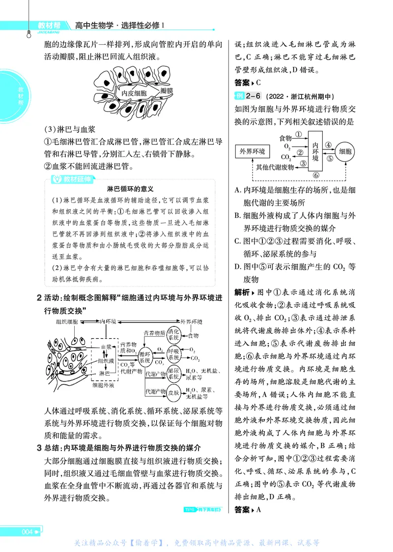 教材帮高中生物学选择性必修1（配ZK版）浙科版_高中三年全科资料_高中_高中电子教材_高中《教材帮》2025版高中《教材帮》（全科高清）_教材帮高中生物