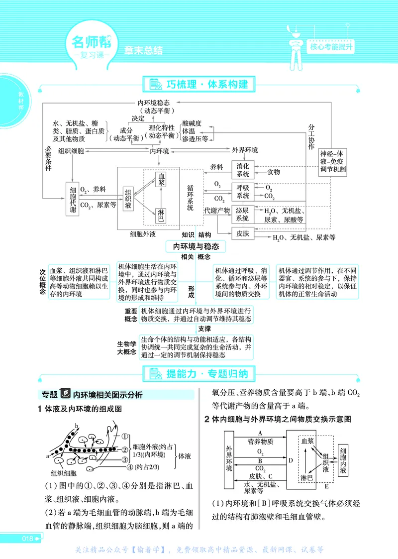 教材帮高中生物学选择性必修1（配ZK版）浙科版_高中三年全科资料_高中_高中电子教材_高中《教材帮》2025版高中《教材帮》（全科高清）_教材帮高中生物