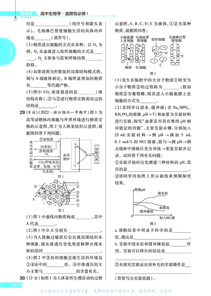 教材帮高中生物学选择性必修1（配ZK版）浙科版_高中三年全科资料_高中_高中电子教材_高中《教材帮》2025版高中《教材帮》（全科高清）_教材帮高中生物