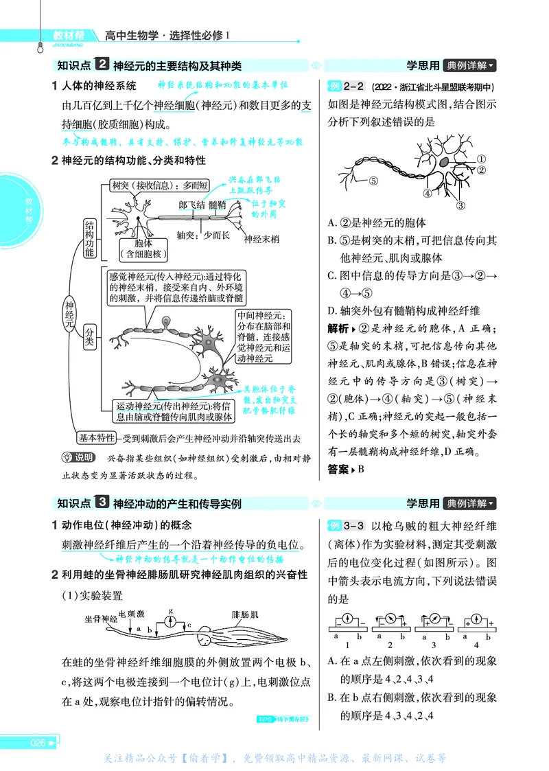 教材帮高中生物学选择性必修1（配ZK版）浙科版_高中三年全科资料_高中_高中电子教材_高中《教材帮》2025版高中《教材帮》（全科高清）_教材帮高中生物