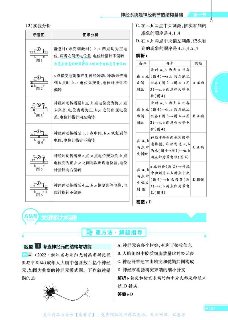 教材帮高中生物学选择性必修1（配ZK版）浙科版_高中三年全科资料_高中_高中电子教材_高中《教材帮》2025版高中《教材帮》（全科高清）_教材帮高中生物