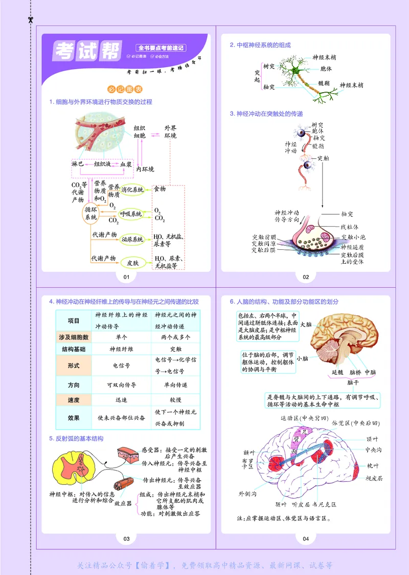 教材帮高中生物学选择性必修1（配ZK版）浙科版_高中三年全科资料_高中_高中电子教材_高中《教材帮》2025版高中《教材帮》（全科高清）_教材帮高中生物
