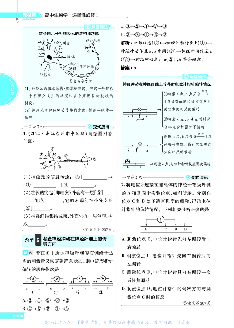教材帮高中生物学选择性必修1（配ZK版）浙科版_高中三年全科资料_高中_高中电子教材_高中《教材帮》2025版高中《教材帮》（全科高清）_教材帮高中生物