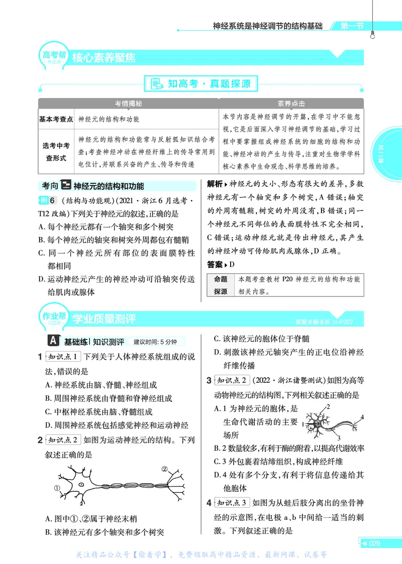 教材帮高中生物学选择性必修1（配ZK版）浙科版_高中三年全科资料_高中_高中电子教材_高中《教材帮》2025版高中《教材帮》（全科高清）_教材帮高中生物