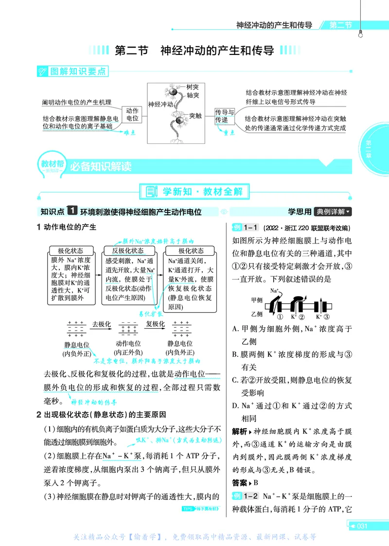 教材帮高中生物学选择性必修1（配ZK版）浙科版_高中三年全科资料_高中_高中电子教材_高中《教材帮》2025版高中《教材帮》（全科高清）_教材帮高中生物