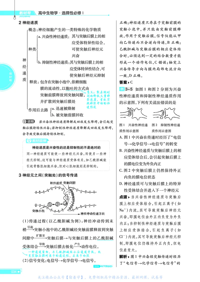 教材帮高中生物学选择性必修1（配ZK版）浙科版_高中三年全科资料_高中_高中电子教材_高中《教材帮》2025版高中《教材帮》（全科高清）_教材帮高中生物