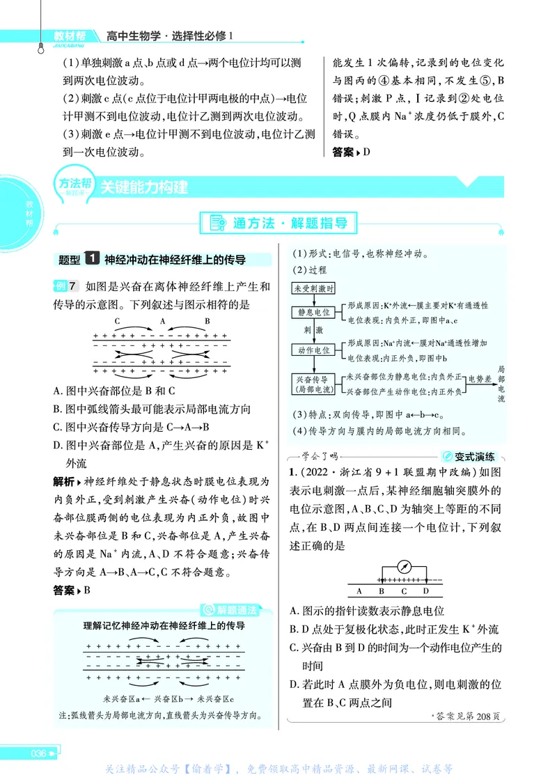 教材帮高中生物学选择性必修1（配ZK版）浙科版_高中三年全科资料_高中_高中电子教材_高中《教材帮》2025版高中《教材帮》（全科高清）_教材帮高中生物