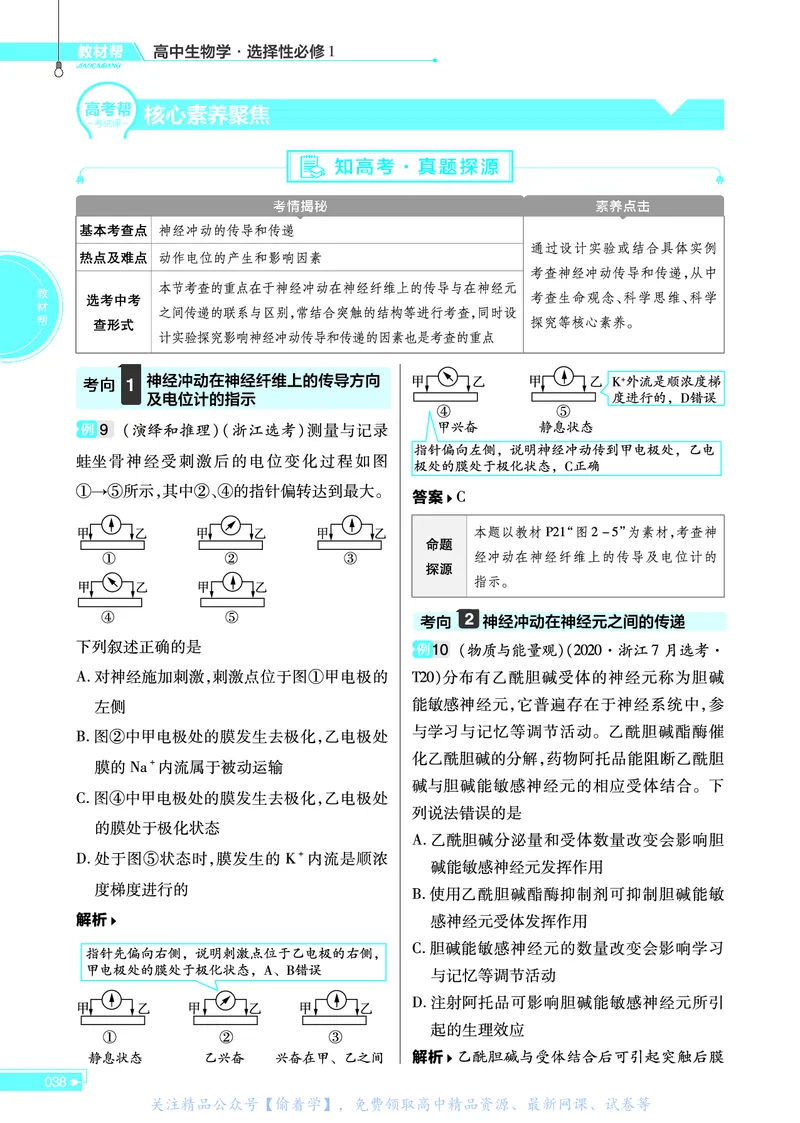 教材帮高中生物学选择性必修1（配ZK版）浙科版_高中三年全科资料_高中_高中电子教材_高中《教材帮》2025版高中《教材帮》（全科高清）_教材帮高中生物