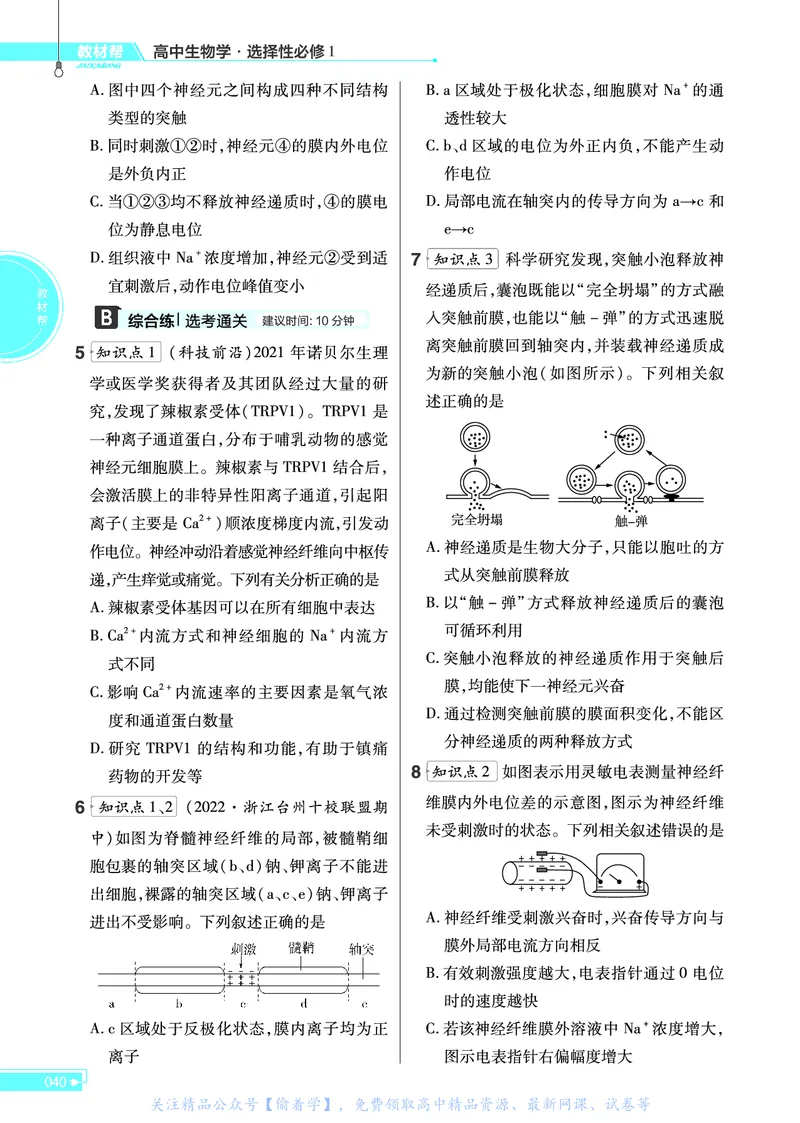 教材帮高中生物学选择性必修1（配ZK版）浙科版_高中三年全科资料_高中_高中电子教材_高中《教材帮》2025版高中《教材帮》（全科高清）_教材帮高中生物