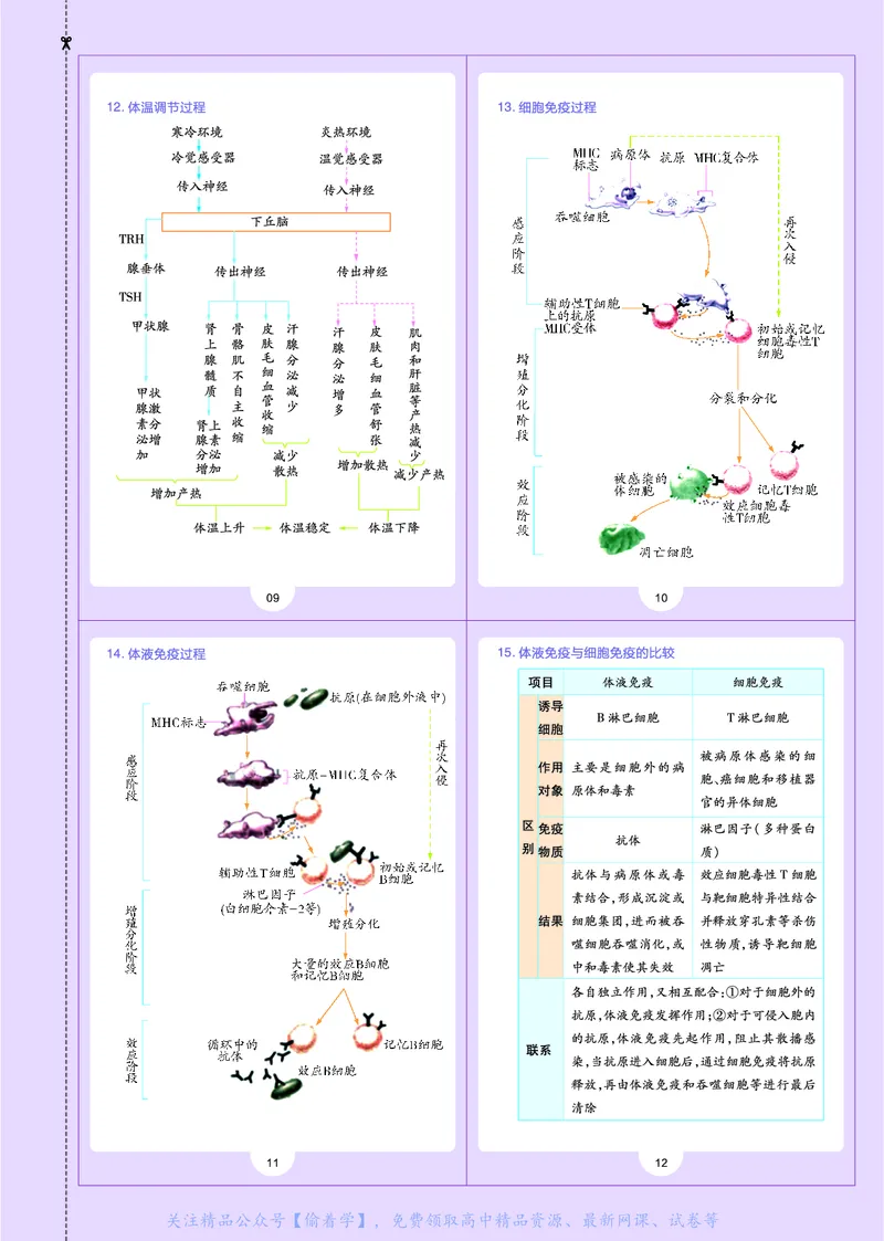 教材帮高中生物学选择性必修1（配ZK版）浙科版_高中三年全科资料_高中_高中电子教材_高中《教材帮》2025版高中《教材帮》（全科高清）_教材帮高中生物